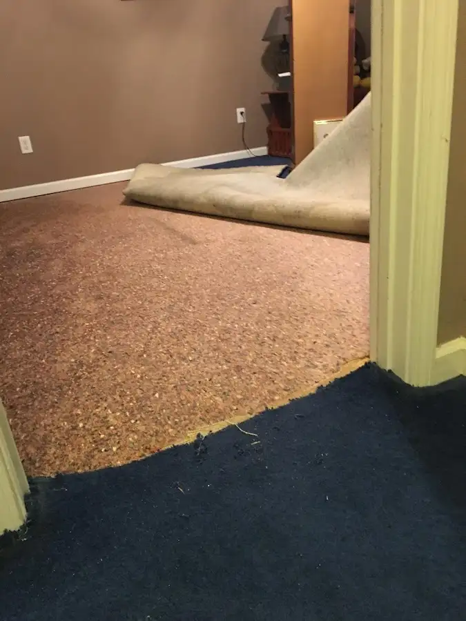 Carpet pad removal revealing water damage during Drying & Dehumidification in New Hempstead
