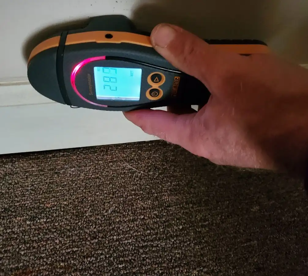 Moisture detection at baseboard during Sewage Cleanup & Sanitation in New Hempstead